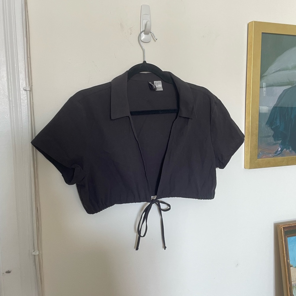 H&M Crop Collar Tie Top